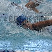 DSC_1218.jpg