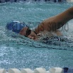 DSC_1871.jpg