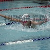 DSC_1847.jpg