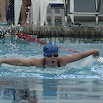 DSC_1336.jpg