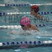 DSC_1085.jpg