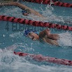 DSC_1205.jpg