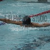 DSC_1833.jpg