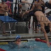 DSC_1571.jpg