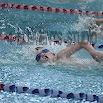 DSC_1490.jpg