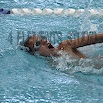 DSC_1494.jpg